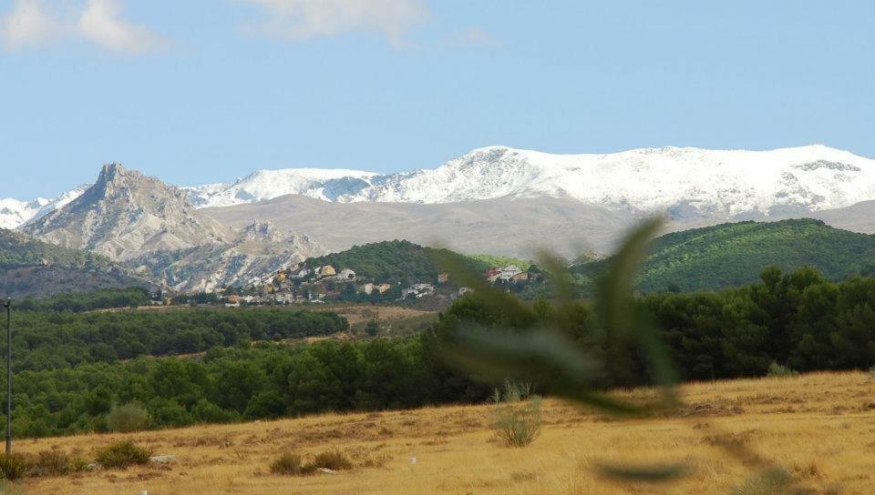 Apartamento El Rincon de Pepa La Zubia  Exterior foto